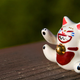 Image for article titled Shooting Challenge: Focus Stacking Gallery